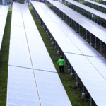 Negocc To Showcase Sustainable Energy Solutions, Actions In Re Week